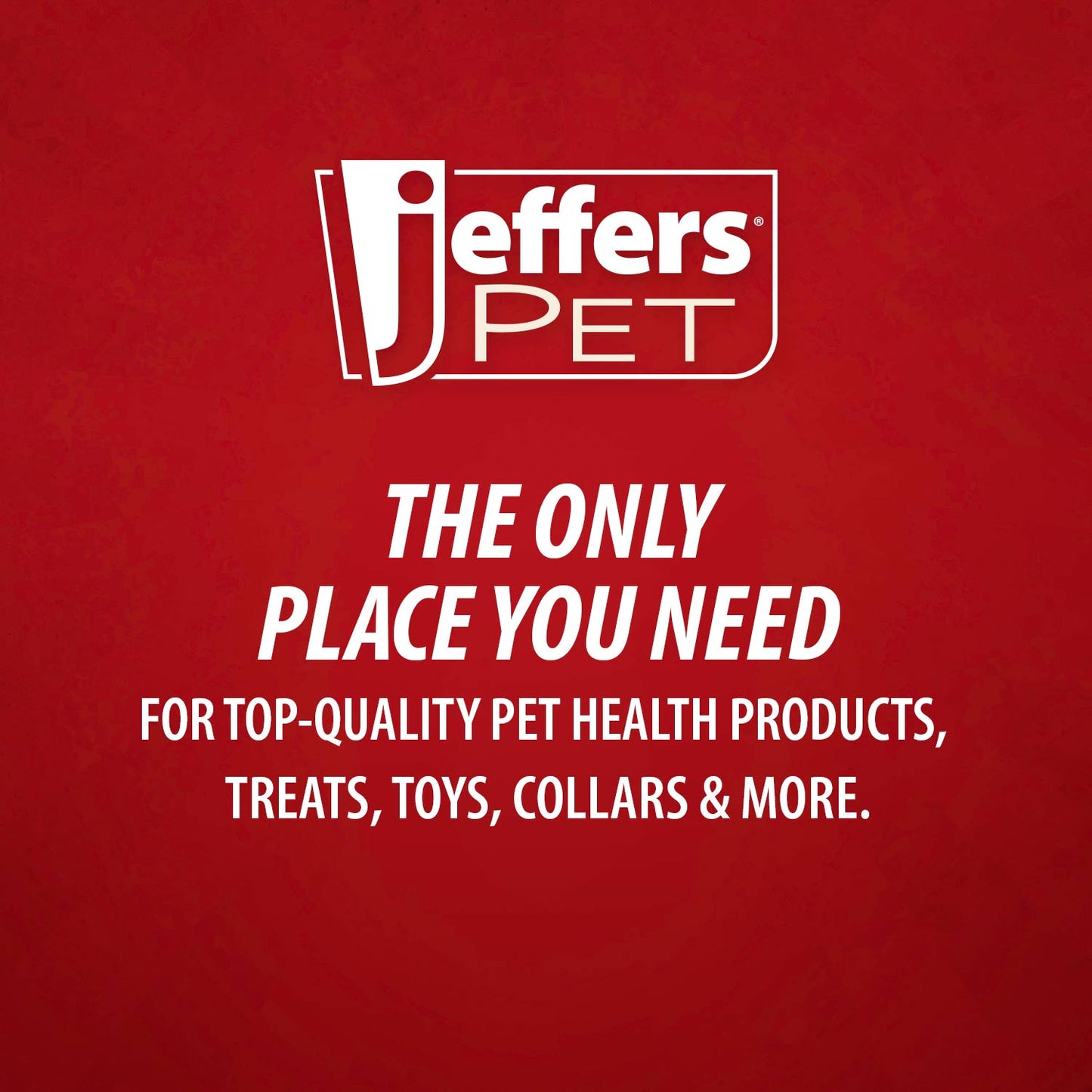 Jeffers Natural Rubber Box of Chocolates Dog Chew Toy for Medium-Chewers