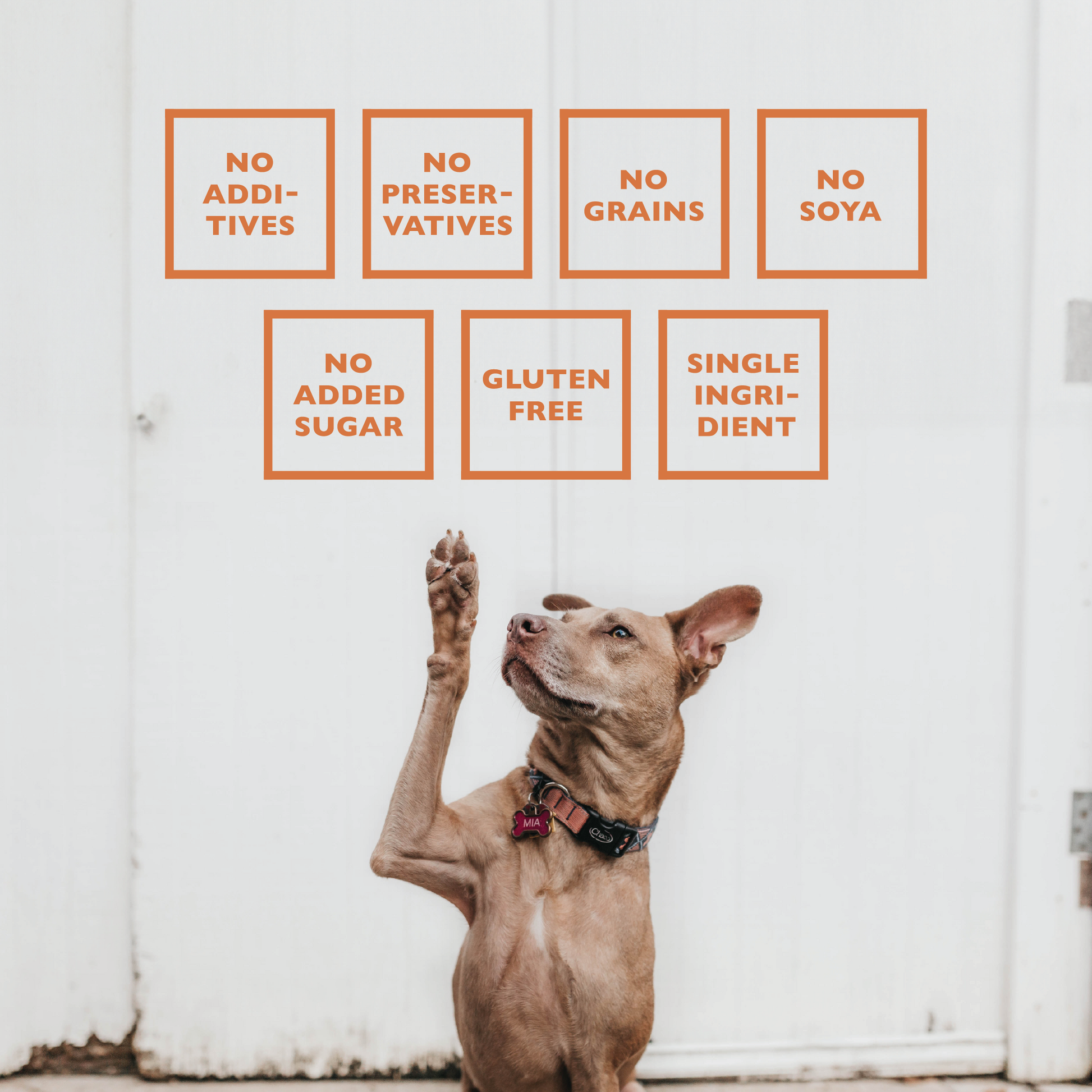 BAFFS NATURALS All-Natural Premium Lamb Lung Cubes – (7oz Bag) - Doot's Pet LLC Collars For A Cause