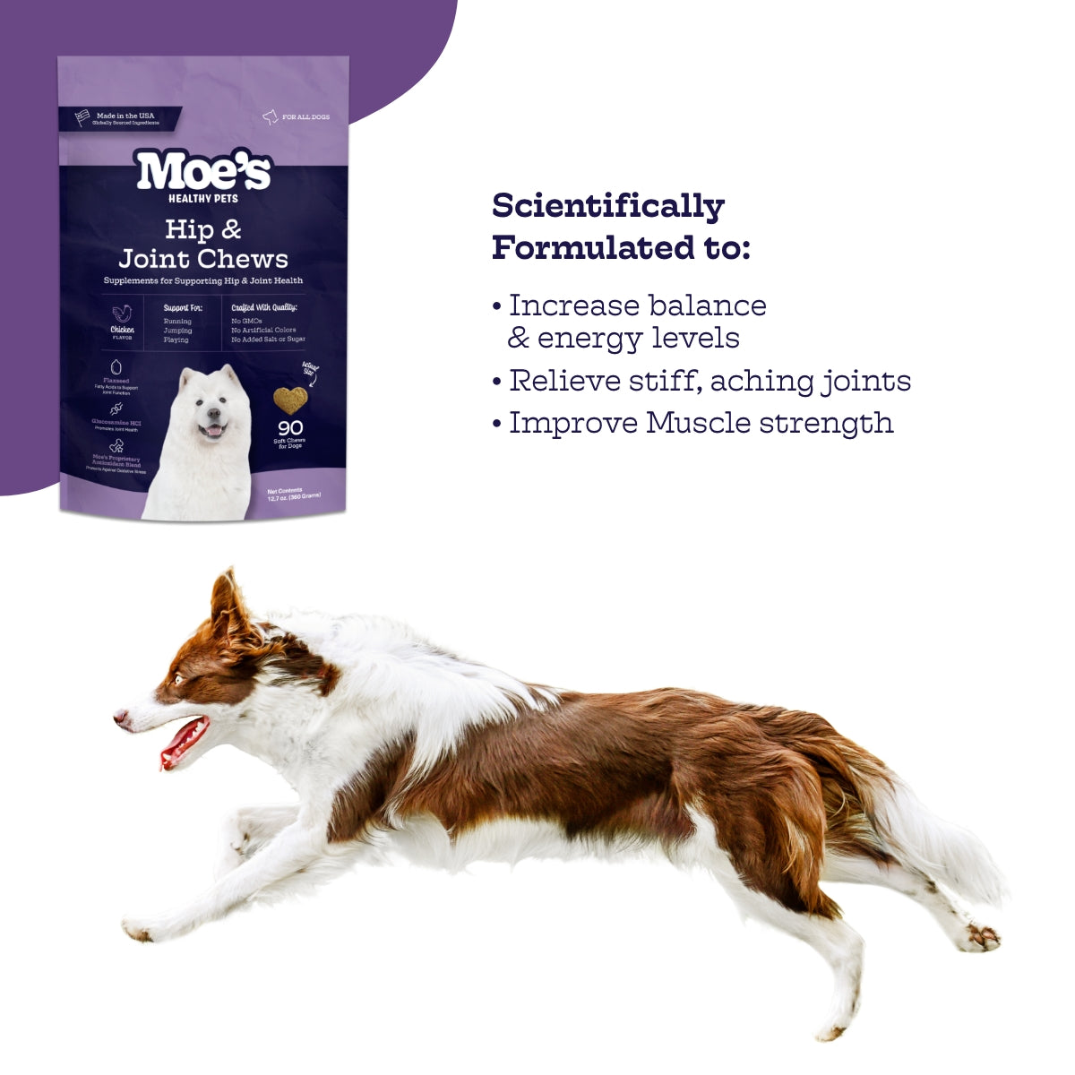 Hip & Joint Chews - Doot's Pet LLC Collars For A Cause