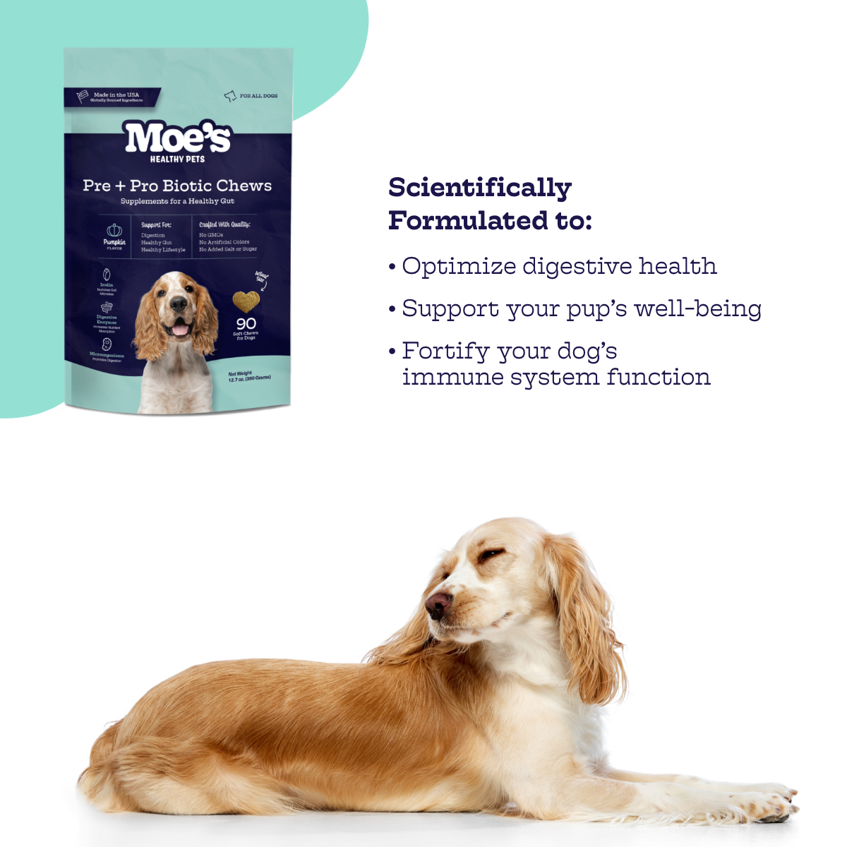 Pre + Pro Biotic Chews - Doot's Pet LLC Collars For A Cause