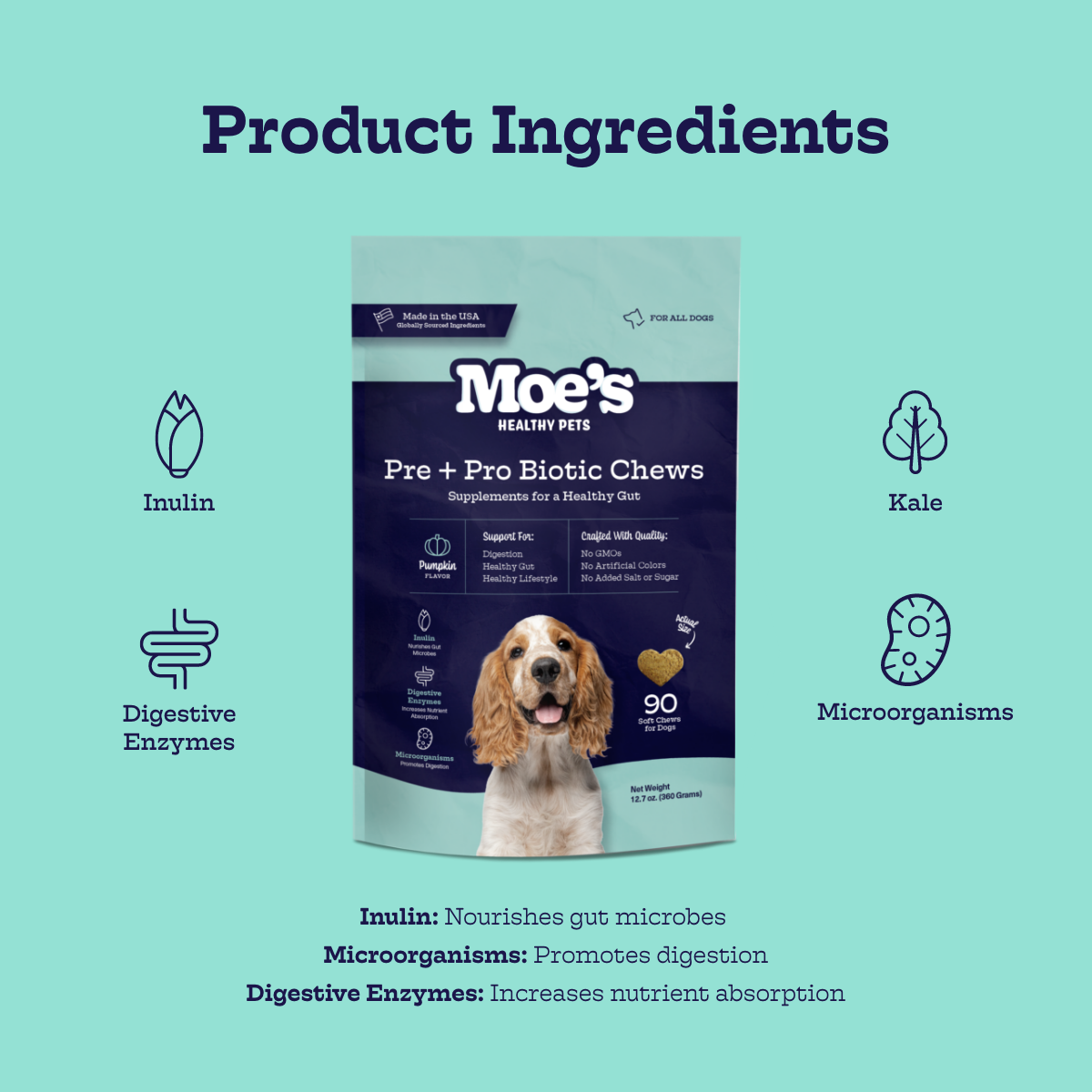 Pre + Pro Biotic Chews - Doot's Pet LLC Collars For A Cause