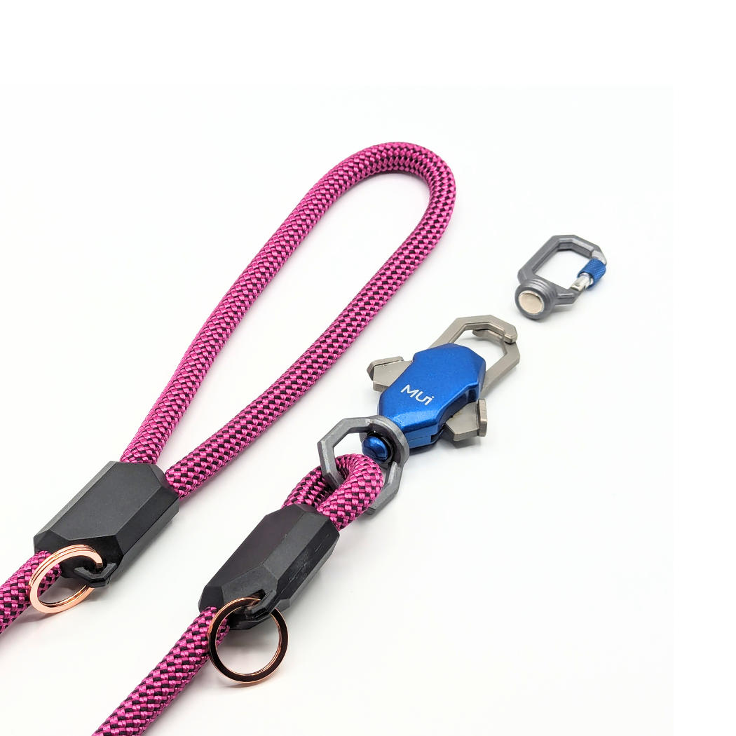 Patented Magnetic Dog Leash - Doot's Pet LLC Collars For A Cause