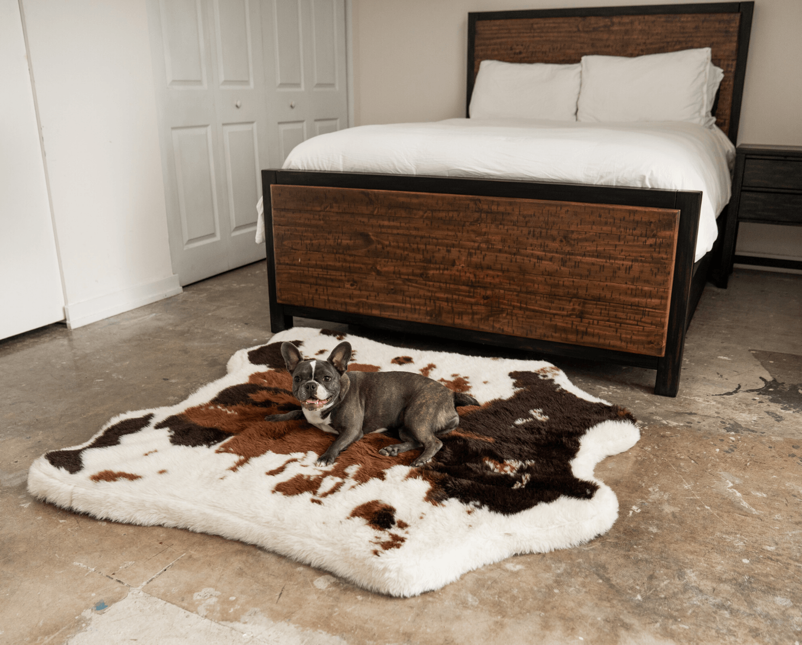 PupRug® Animal Print Memory Foam Dog Bed - Brown Faux Cowhide - Doot's Pet LLC Collars For A Cause