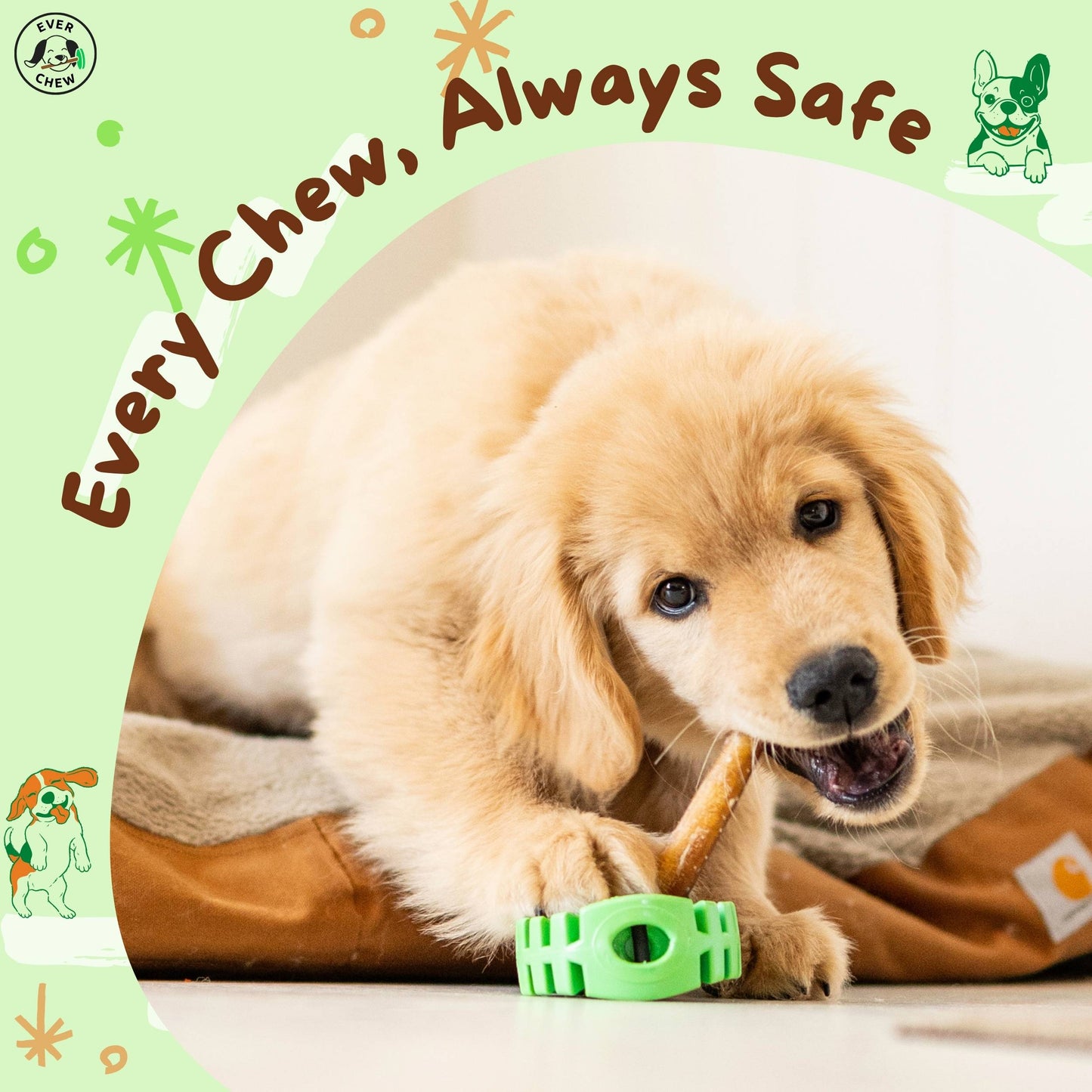 SafetyChew Plus Medium Dog Starter Pack: Heavy-Duty Bully Stick Holder + All-Natural Bully Sticks for Dogs 16-39+lbs - Doot's Pet LLC Collars For A Cause