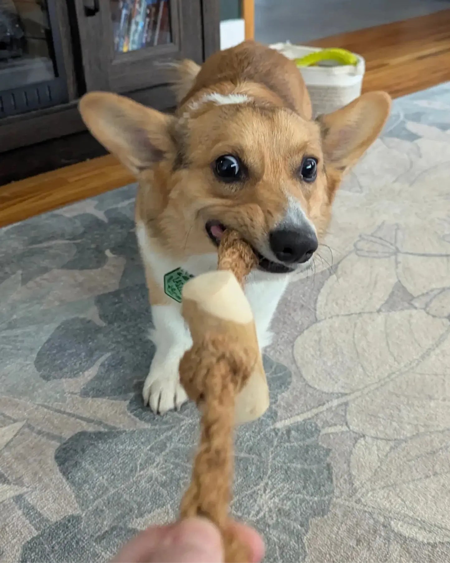 Coconut Rope & Original Chew