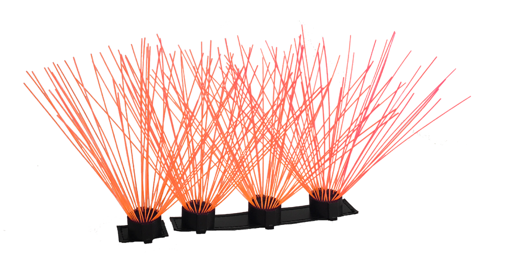 CoyoteWhiskers - Doot's Pet LLC Collars For A Cause