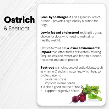 Ostrich Chips with Beetroot (2.5oz): The Flavorful, Immune System Supporting Treat for Dogs - Doot's Pet LLC Collars For A Cause