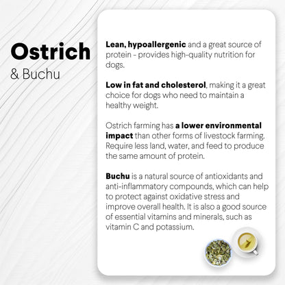 Ostrich Sausages with Buchu (3oz): The Delicious, Digestive-Supporting Treat for Dogs - Doot's Pet LLC Collars For A Cause