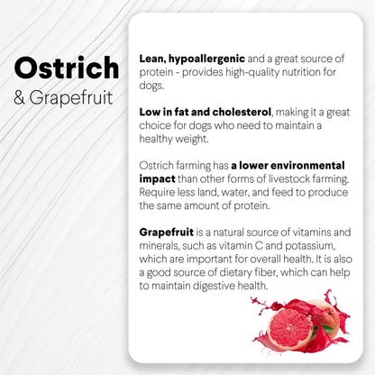 Ostrich Bites with Grapefruit (3oz): The Tasty, Immune-System Supporting Treat for Dogs - Doot's Pet LLC Collars For A Cause