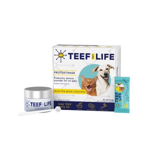 Dental Kits: Protektin42K - Prebiotic Dental Powder for All Pets (Sodium-free) - Doot's Pet LLC Collars For A Cause