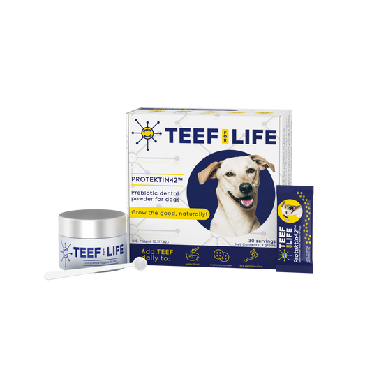 Dental Kits: Protektin42™ - Prebiotic Dental Powder for dogs - Doot's Pet LLC Collars For A Cause