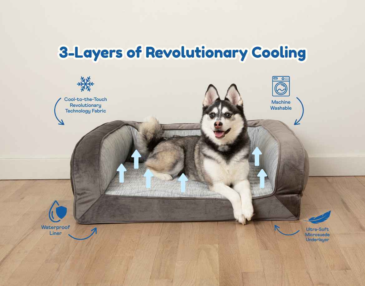 PupChill™ Cooling Bolster Dog Bed - Doot's Pet LLC Collars For A Cause