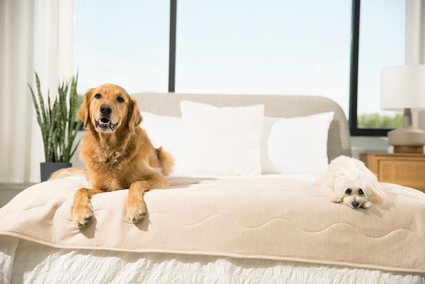 PupChill™ Cooling Waterproof Runner Blanket - Arctic Sand - Doot's Pet LLC Collars For A Cause