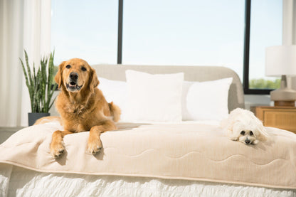 PupChill™ Cooling Waterproof Runner Blanket - Arctic Sand - Doot's Pet LLC Collars For A Cause