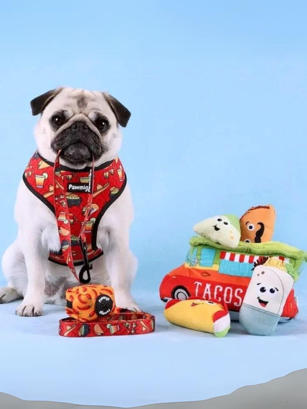 Taco Tuesday Leash Kit - Doot's Pet LLC Collars For A Cause