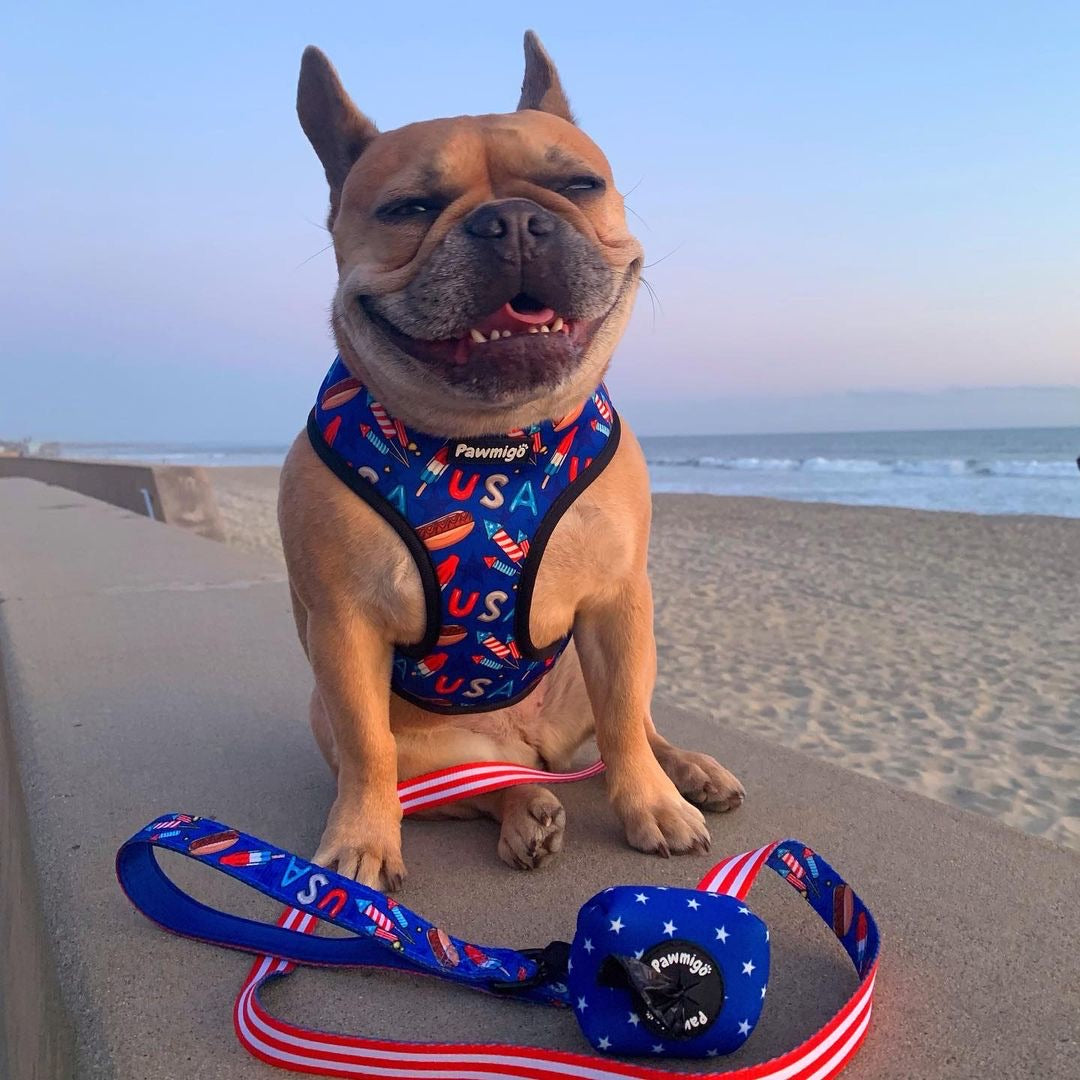 Red, White & Bark Leash Kit