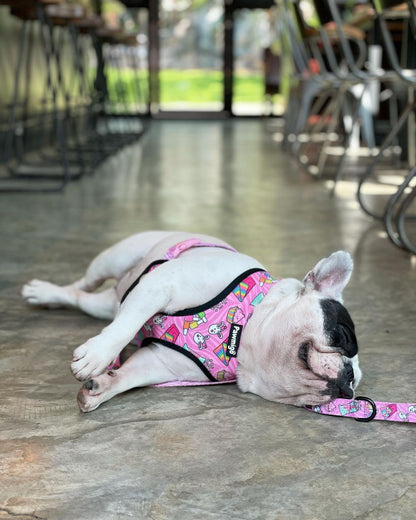 Slumber Pawty Leash Kit - Doot's Pet LLC Collars For A Cause