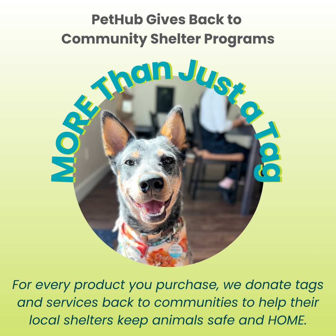 QR ID Pet Tag - Lost AF - Doot's Pet LLC Collars For A Cause