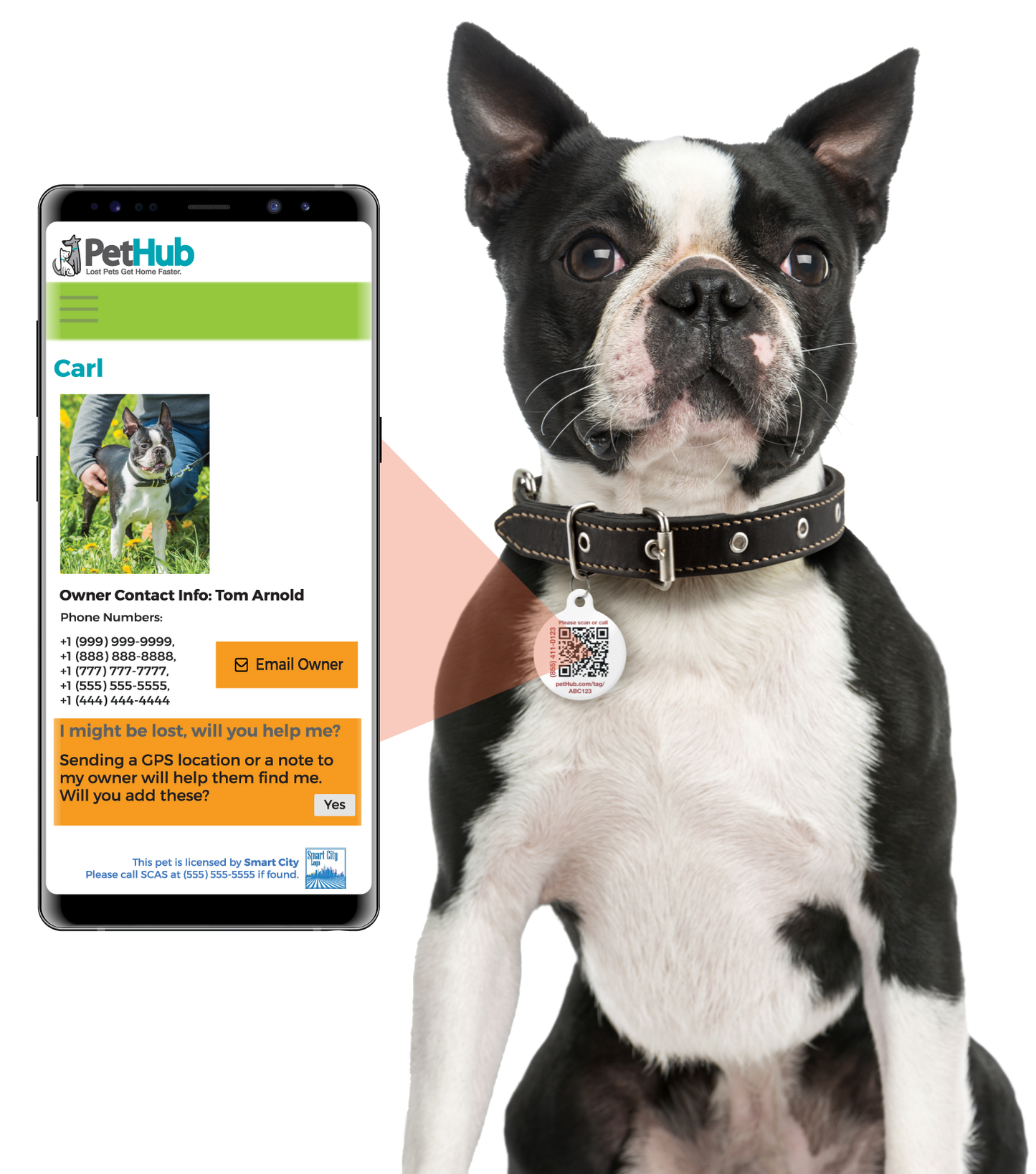PetHub QR ID Pet Tag - KIss Me I'm Rescued - Doot's Pet LLC Collars For A Cause