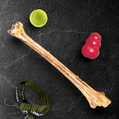 Ostrich Long Bone (19" x 3.5"): The Ultimate Challenge for Medium, Large & Extra-Large Dogs - Doot's Pet LLC Collars For A Cause