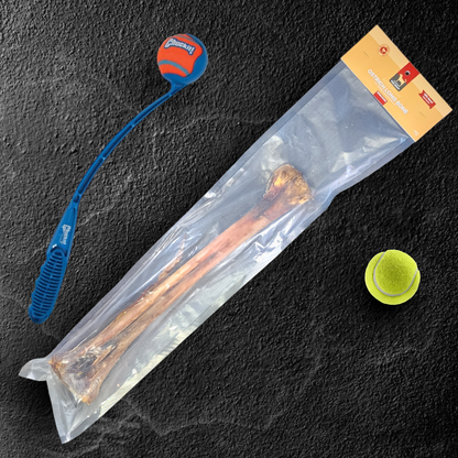 Ostrich Long Bone (19" x 3.5"): The Ultimate Challenge for Medium, Large & Extra-Large Dogs - Doot's Pet LLC Collars For A Cause