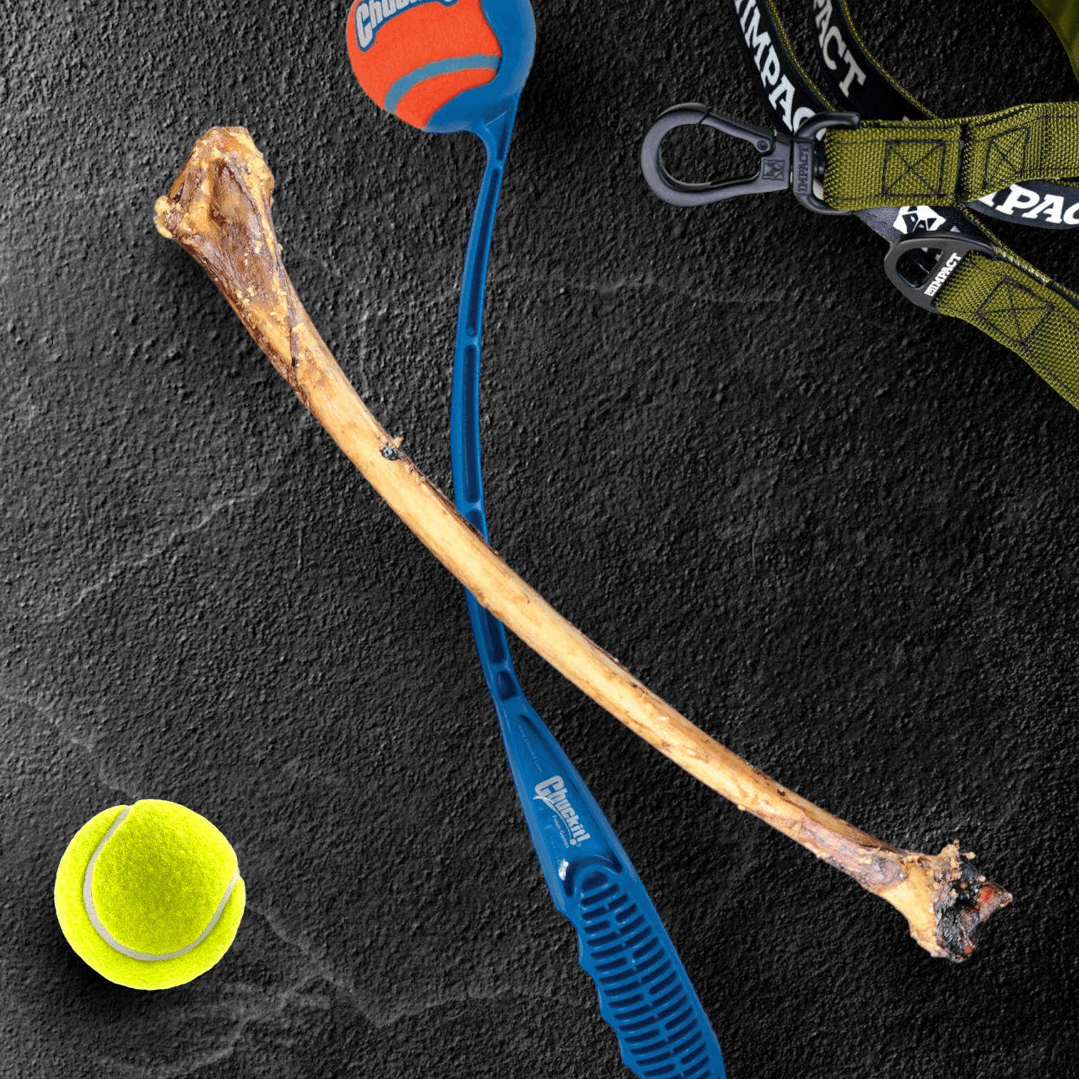 Ostrich Wing Bone (13" x 1.5"): The Ultimate Long-Lasting Chew for Small Dogs & Light Chewers - Doot's Pet LLC Collars For A Cause