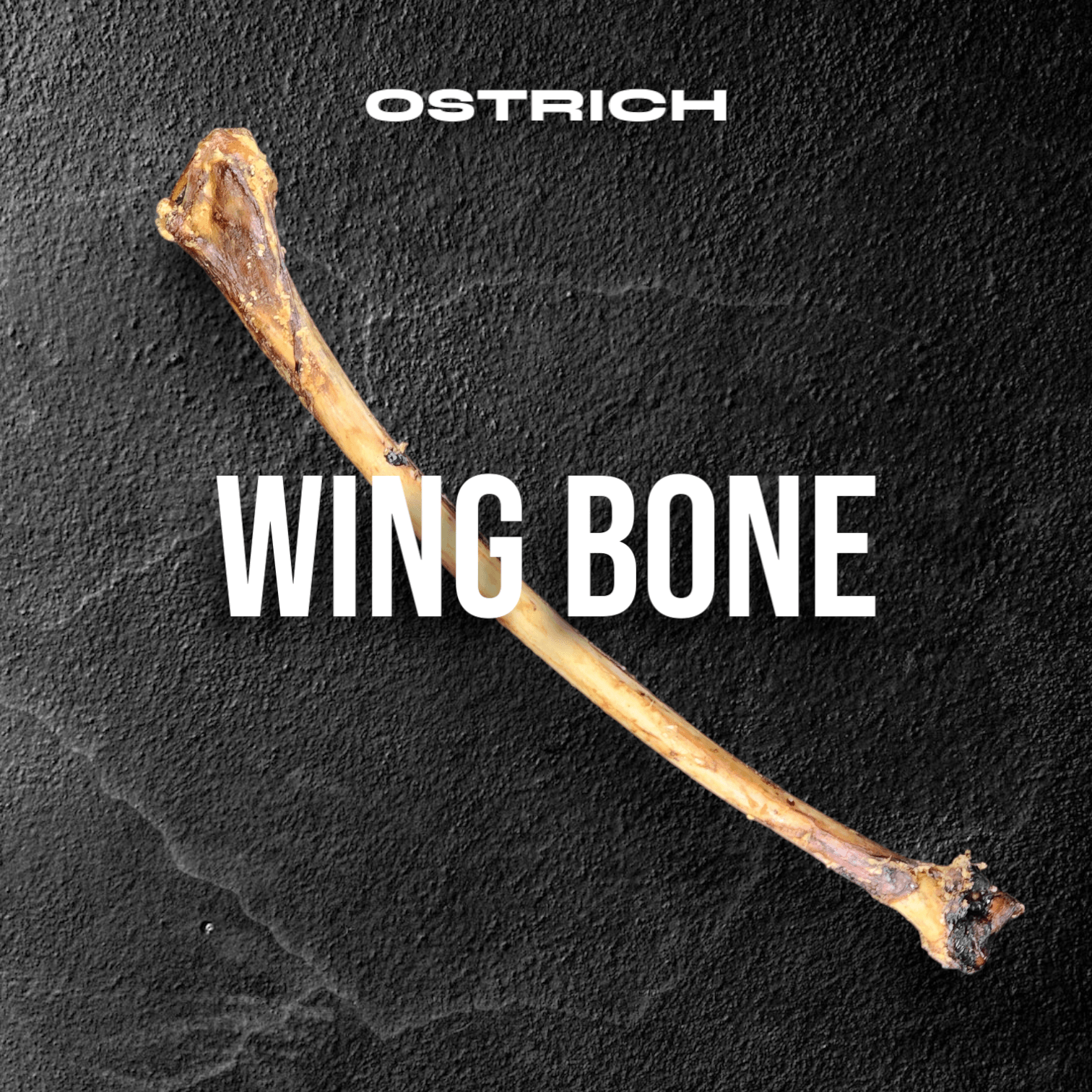 Ostrich Wing Bone (13" x 1.5"): The Ultimate Long-Lasting Chew for Small Dogs & Light Chewers - Doot's Pet LLC Collars For A Cause