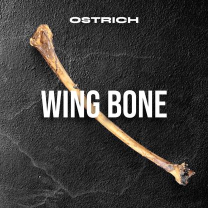 Ostrich Wing Bone (13" x 1.5"): The Ultimate Long-Lasting Chew for Small Dogs & Light Chewers - Doot's Pet LLC Collars For A Cause