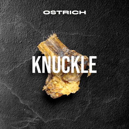 Large Ostrich Knuckle (5.5" x 5"): The Ultimate Chew for Moderate & Power Chewers - Doot's Pet LLC Collars For A Cause