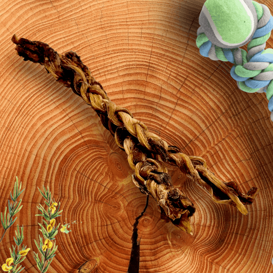 Ostrich Tendon Twister (16" x 2.5" x 1"): The Satisfying, All-Natural Chew for Dental Health & Joint Support - Doot's Pet LLC Collars For A Cause