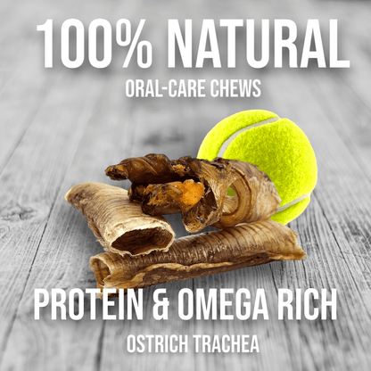 Crunchy Ostrich Trachea Cuts: The Airy, All-Natural Treat for Small to Medium Dogs - Doot's Pet LLC Collars For A Cause