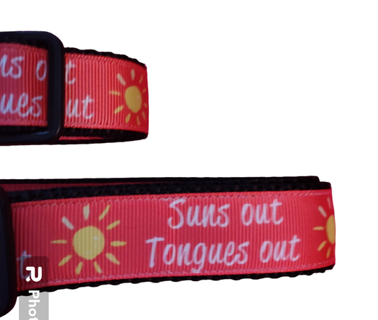 Sun's Out Tongue's Out Black Nylon Dog Collar MD, LG, XL, Leash - Doot's Pet LLC Collars For A Cause