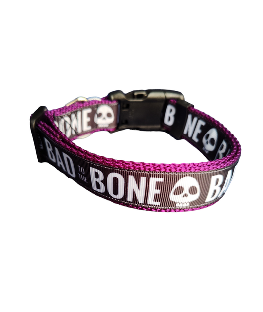 Bad To The Bone Purple Nylon Dog Collar MD, LG, XL, Leash - Doot's Pet LLC Collars For A Cause