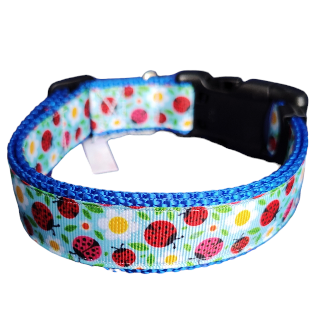 Ladybugs and Daisies Blue Nylon Dog Collar MD, LG, XL, Leash - Doot's Pet LLC Collars For A Cause