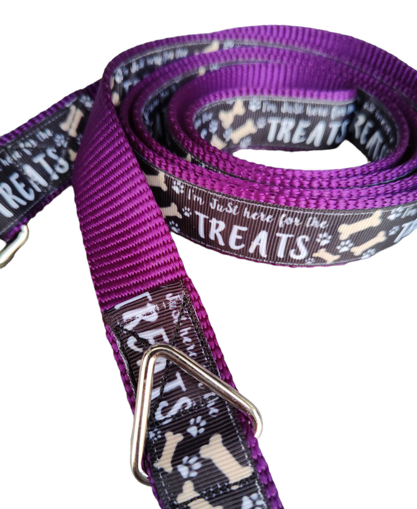 Here For The Treats Purple Nylon Dog Collar MD, LG, XL, Leash - Doot's Pet LLC Collars For A Cause