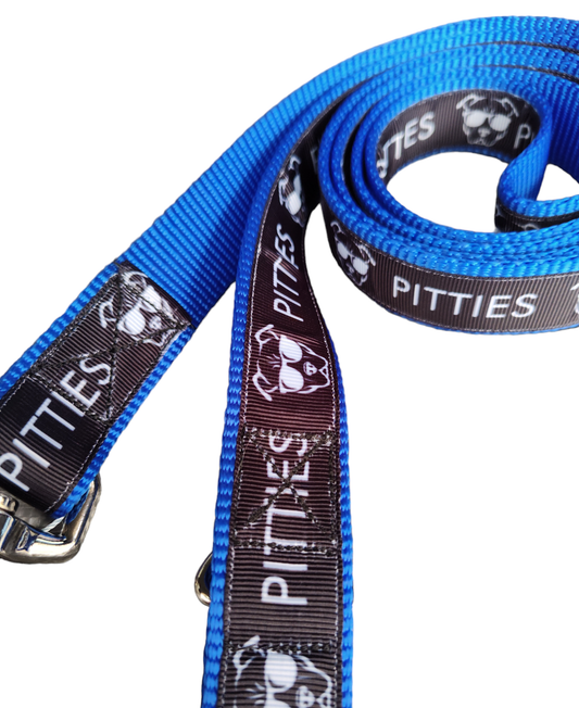 Pitties Pitbull Blue Nylon Dog Collar MD, LG, XL, Leash - Doot's Pet LLC Collars For A Cause