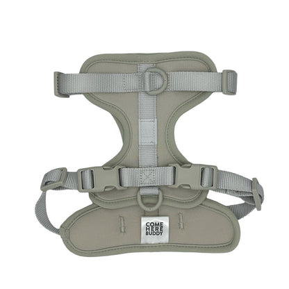 Come Here Buddy Harness