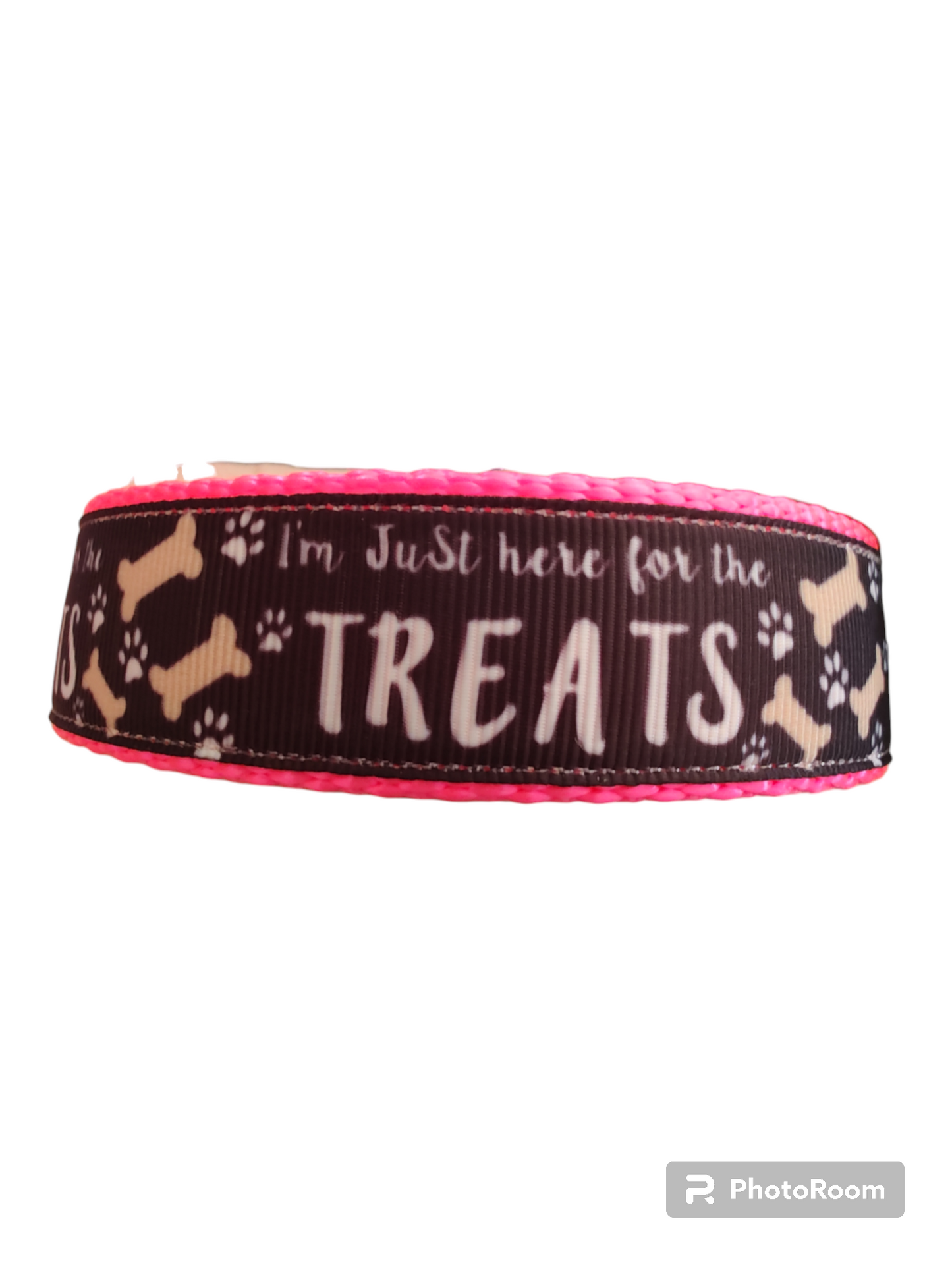 Here For The Treats Hot Pink Nylon Dog Collar MD, LG, XL, Leash - Doot's Pet LLC Collars For A Cause