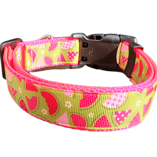 Watermelon Picnic Hot Pink Nylon Dog Collar MD, LG, XL, Leash - Doot's Pet LLC Collars For A Cause