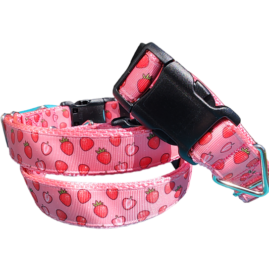 Strawberry Slice Pink Nylon Dog Collar MD, LG, XL, Leash - Doot's Pet LLC Collars For A Cause