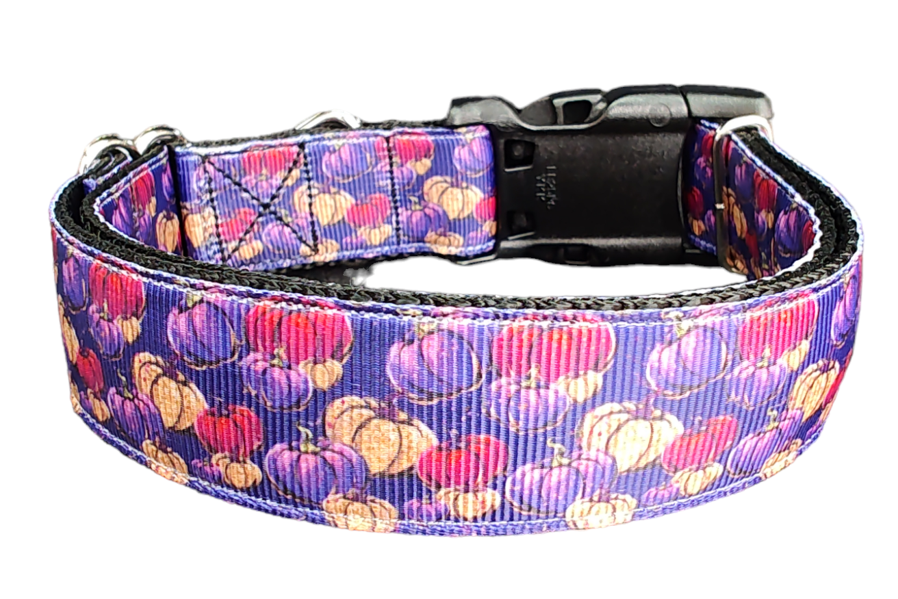 Halloween Purple Pumpkin Patch Nylon Dog Collar - Doot's Pet LLC Collars For A Cause