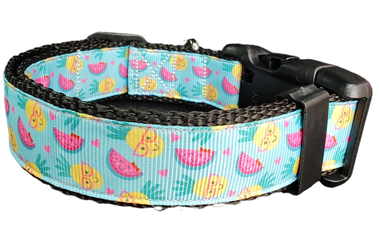 Fruit Party Nylon Dog Collar - Doot's Pet LLC Collars For A Cause