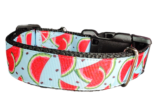 Watermelon Slices Nylon Dog Collar - Doot's Pet LLC Collars For A Cause