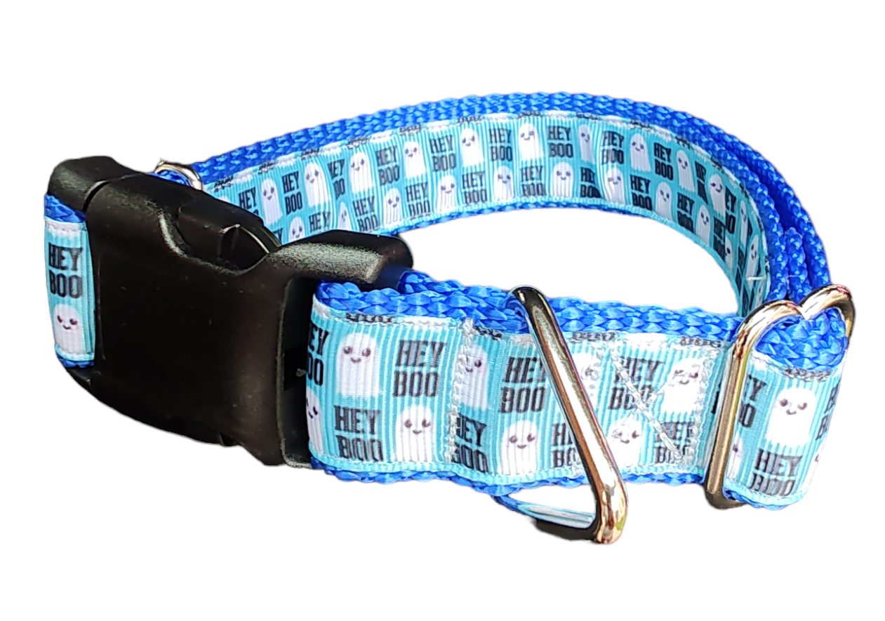 Halloween Hey BOO! Nylon Dog Collar - Doot's Pet LLC Collars For A Cause