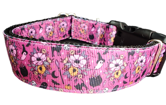 Halloween Floral Witch Nylon Dog Collar - Doot's Pet LLC Collars For A Cause