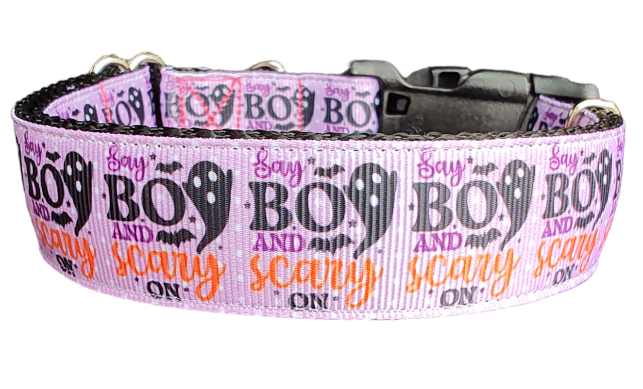 Halloween Say BOO Nylon Dog Collar - Doot's Pet LLC Collars For A Cause