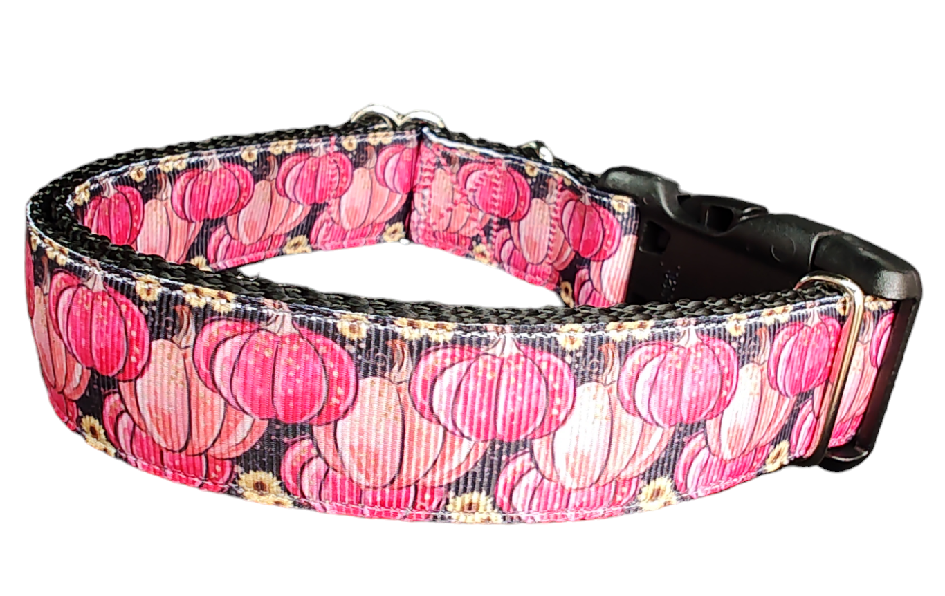 Halloween Pink Pumpkins Nylon Dog Collar - Doot's Pet LLC Collars For A Cause