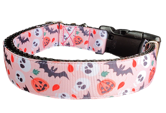 Halloween Spooky Friends Nylon Dog Collar - Doot's Pet LLC Collars For A Cause