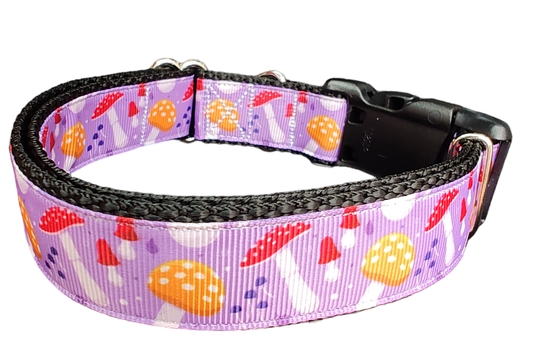 Mushrooms Nylon Dog Collar - Doot's Pet LLC Collars For A Cause