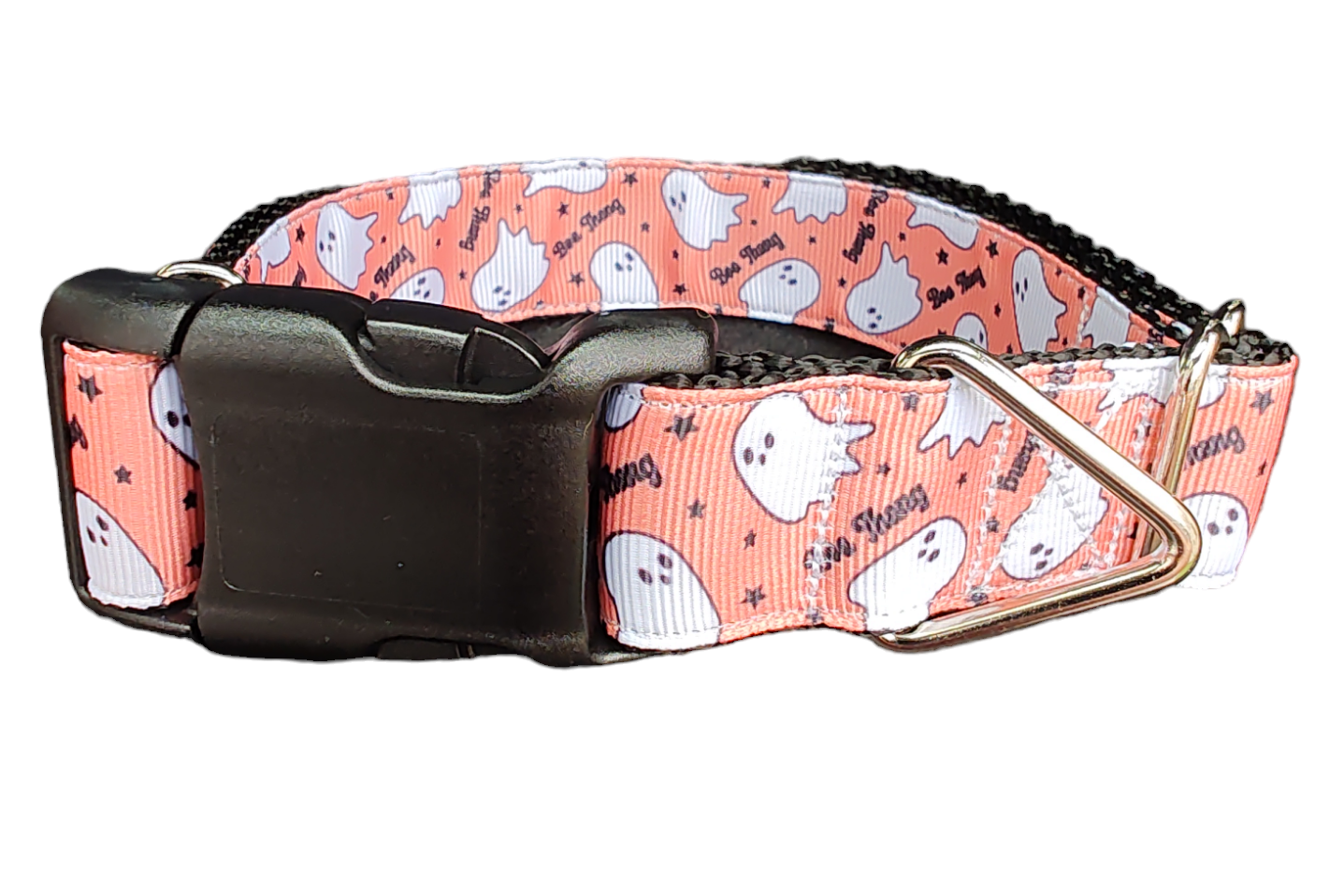 Halloween Boo Thang Nylon Dog Collar - Doot's Pet LLC Collars For A Cause